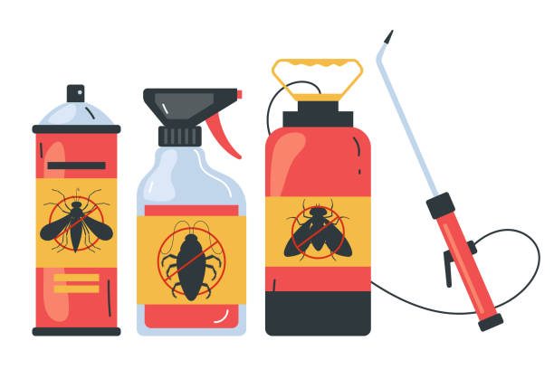 Best Flea Control Services  in Seguin, TX