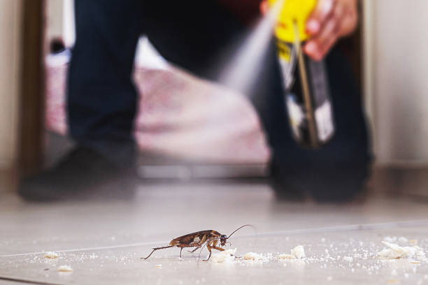 Best Cockroach Control Services  in Seguin, TX